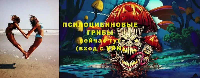 Псилоцибиновые грибы MAGIC MUSHROOMS  Верхняя Салда 